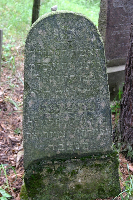 1938 IMG_0439.jpg - VERY hard to read: Here lies a pure and modest woman, involved with Tzidaka (charity) and Chesed (help others), Sheina Chaya or Chava ??Surname ?? the daughter of Kalman HaLevi. Died ?? Tamuz 5698 – July 1938  (IMG_0439.jpg)